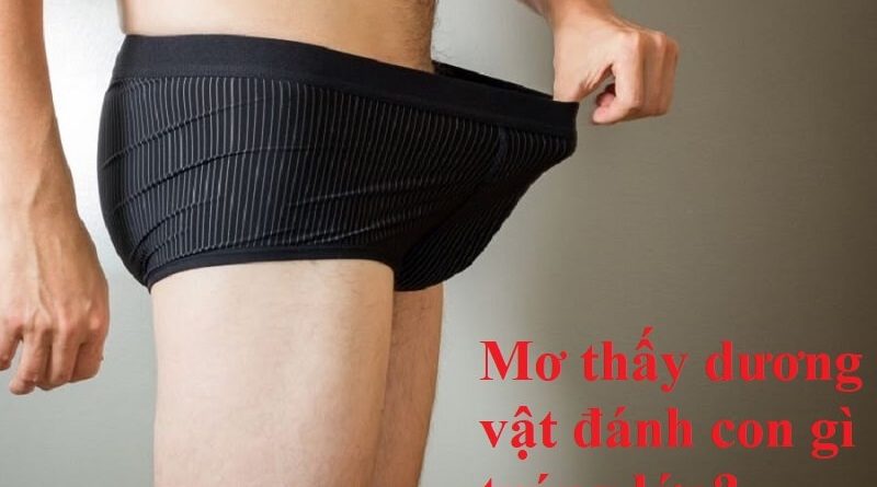Nằm mơ thấy dương vật đánh số mấy mang về may mắn?
