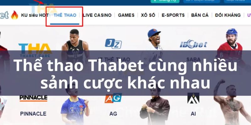 Nhiều sàn cược thể thao được cung cấp và phát triển