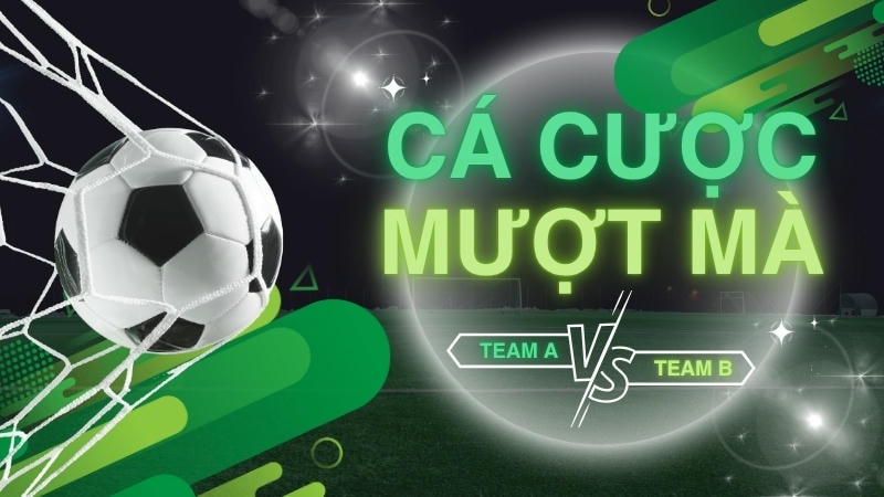 Bí quyết soi kèo theo phong độ và đội hình
